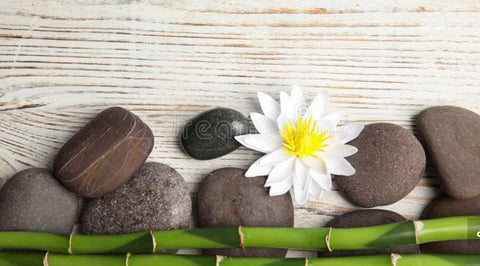 Bamboo Lotus Body Buttercreme