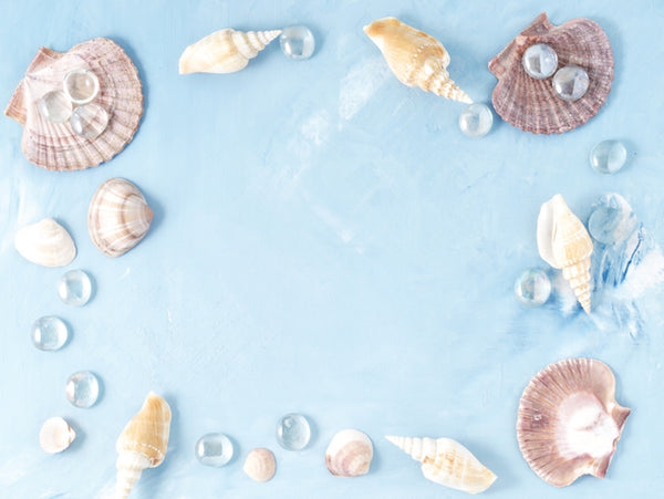 Abalone and Sea Salt Body Buttercreme - Soapalamode