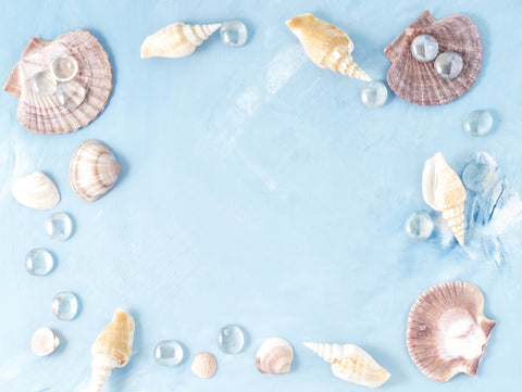 Abalone and Sea Salt Body Buttercreme - Soapalamode