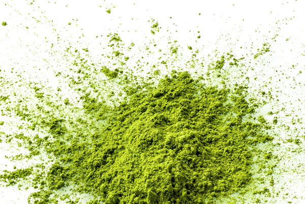 Matcha Green Tea Whipped Body Buttercreme - Soapalamode