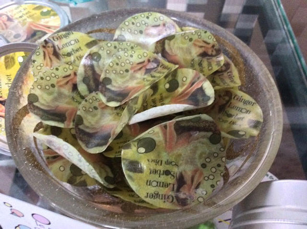 Lemon Ginger Dissolvable Soap Discs - Soapalamode